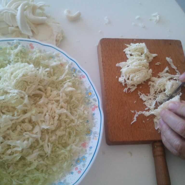 20130808 foto cabbage II