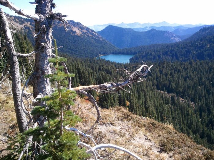 Lago Dewey desde mirador