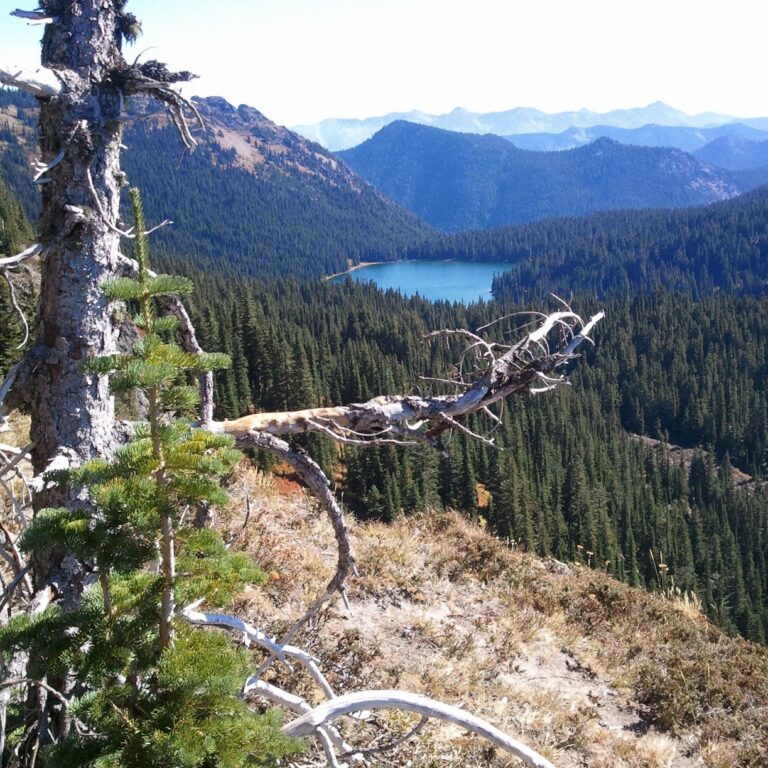 Lago Dewey desde mirador