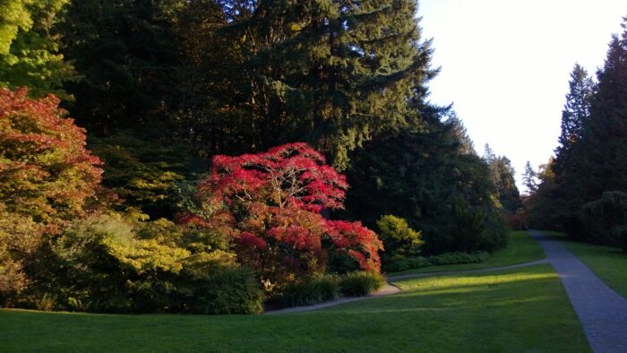Arboretum II