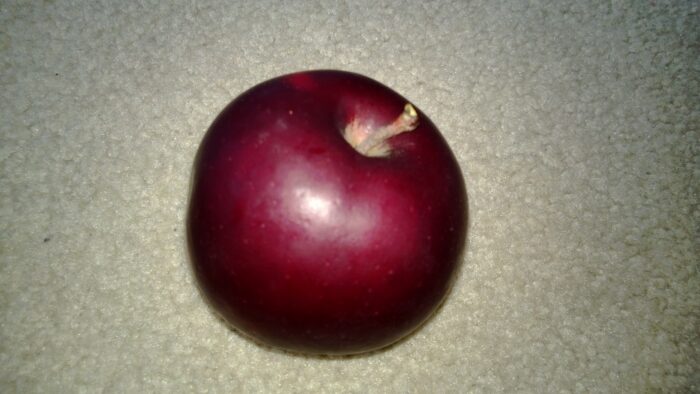 Arkansas black heirloom apple
