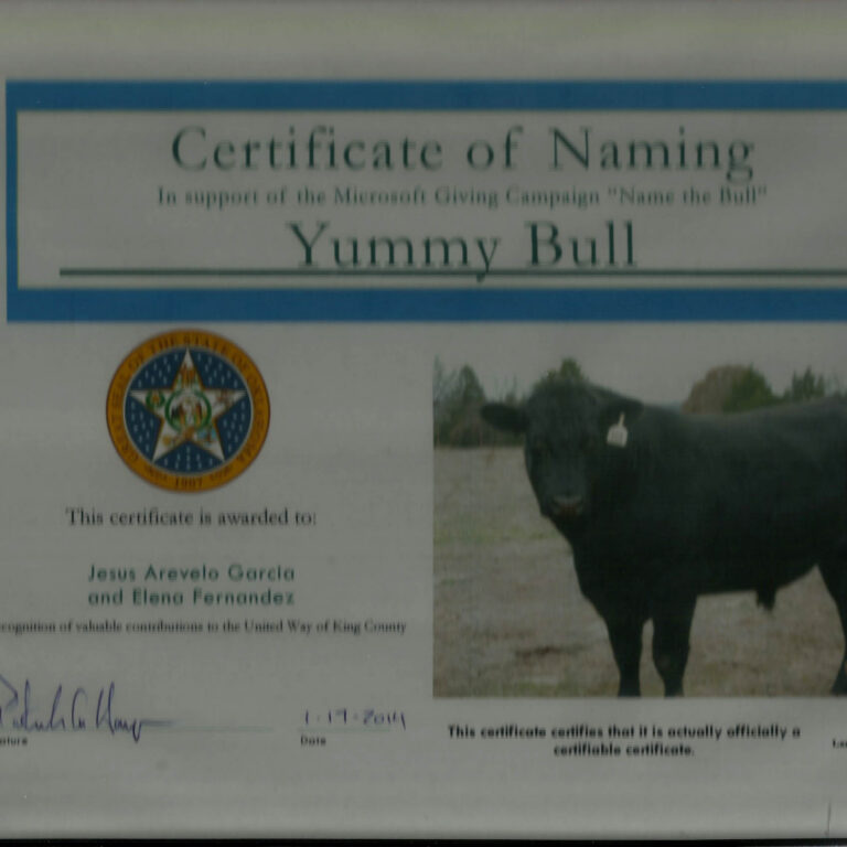 The Yummy Bull Oklahoma ii