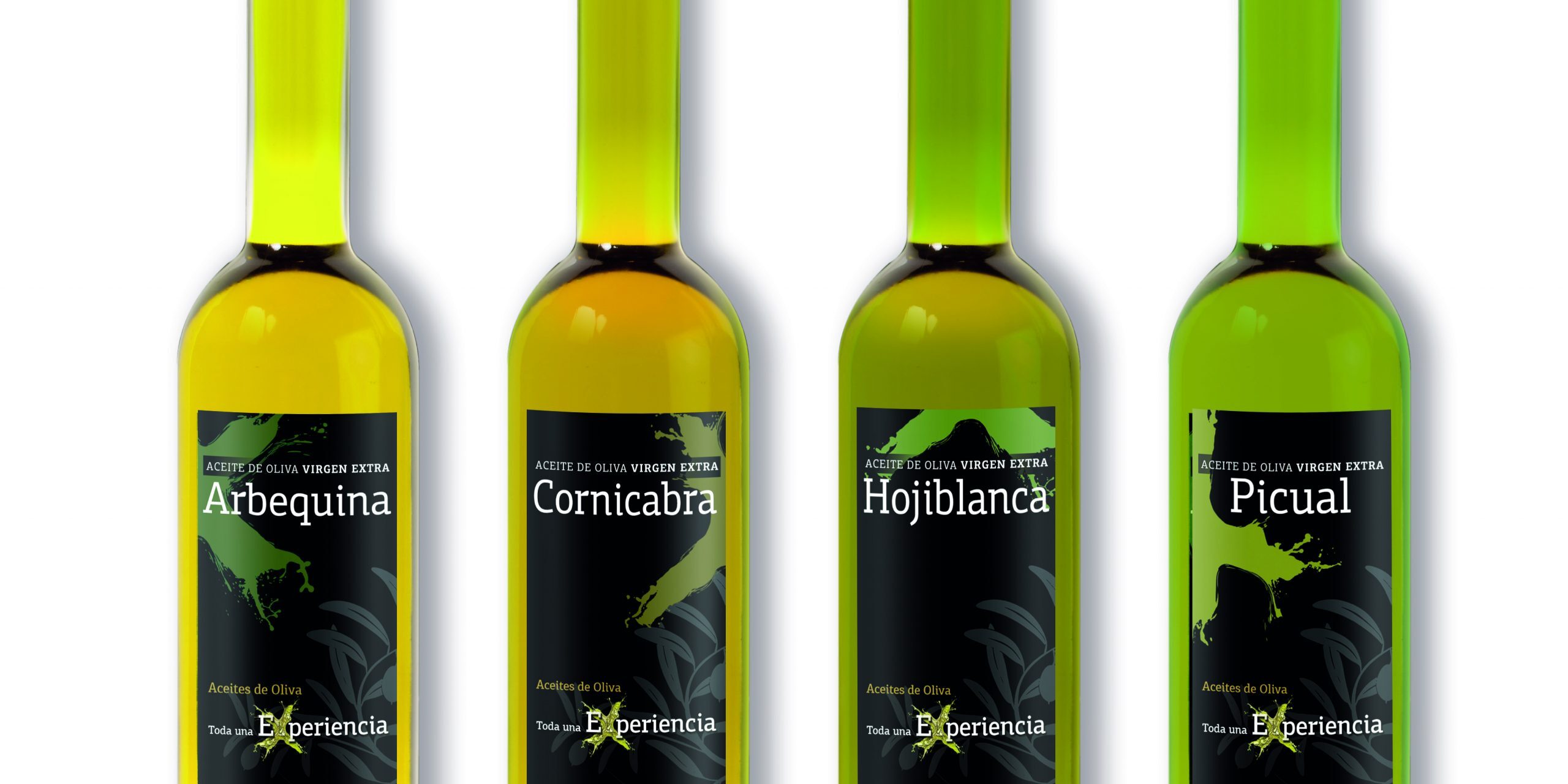Variedades de aceite
