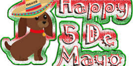 happy 5 de mayo