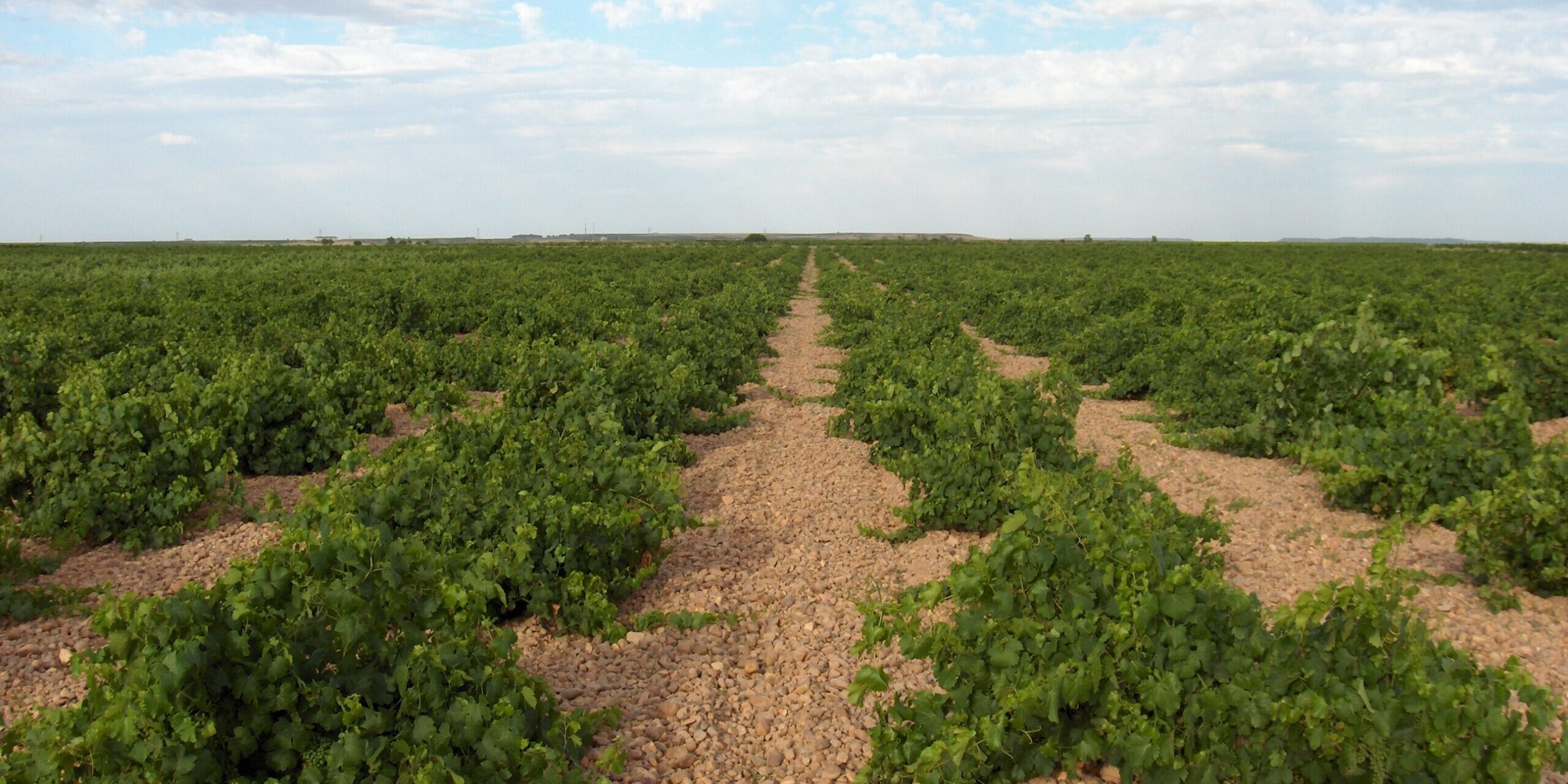 finca Martinsancho