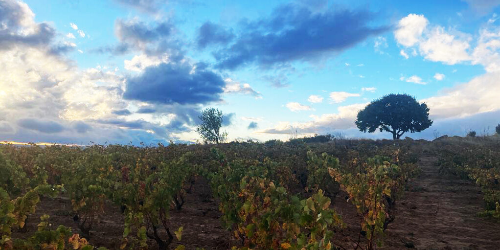 campo atardecer def