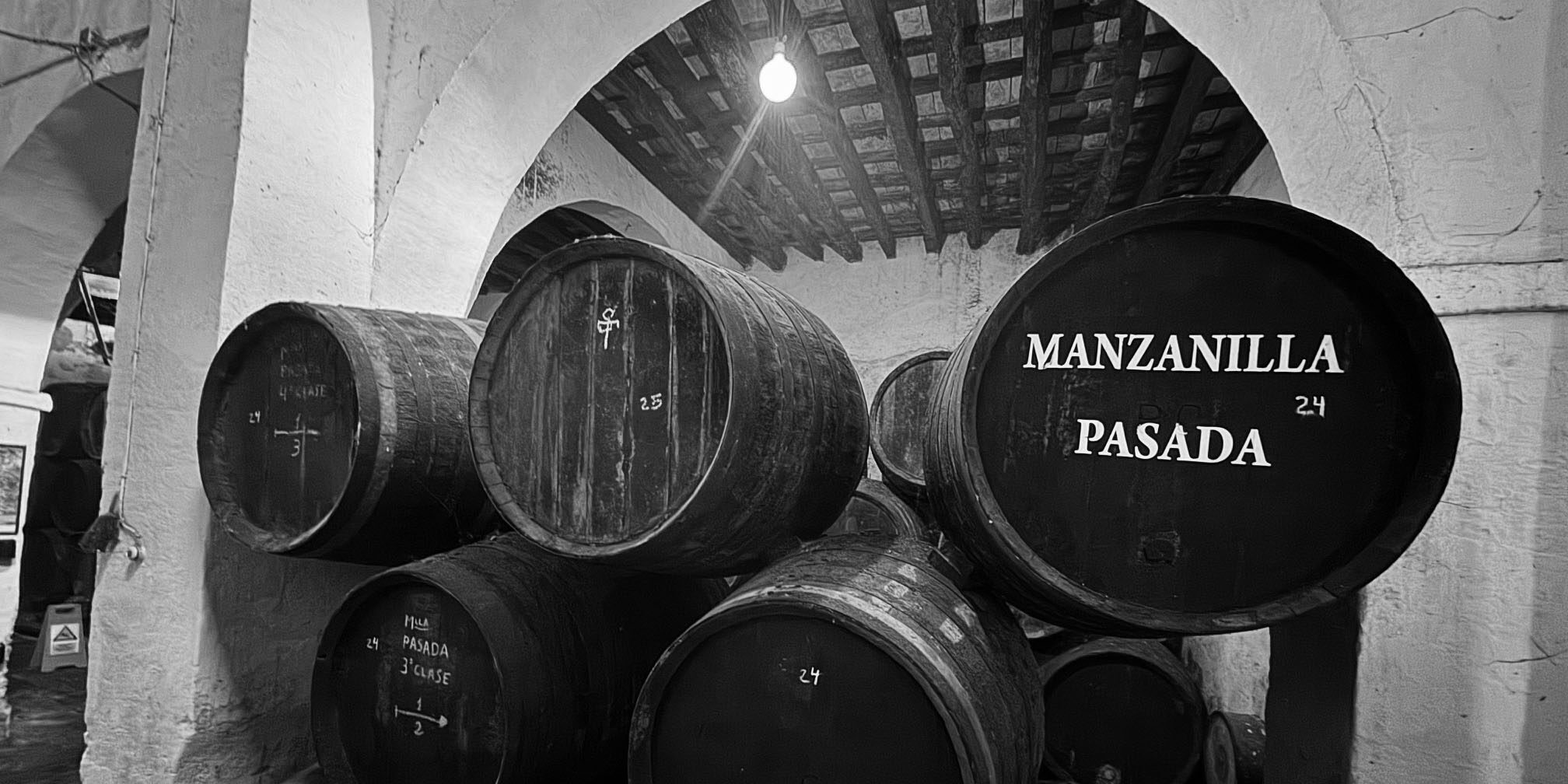 Manzanilla pasada blanco y negro