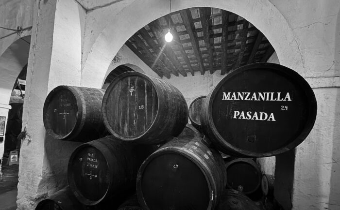 Manzanilla pasada blanco y negro