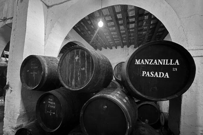 Manzanilla pasada blanco y negro