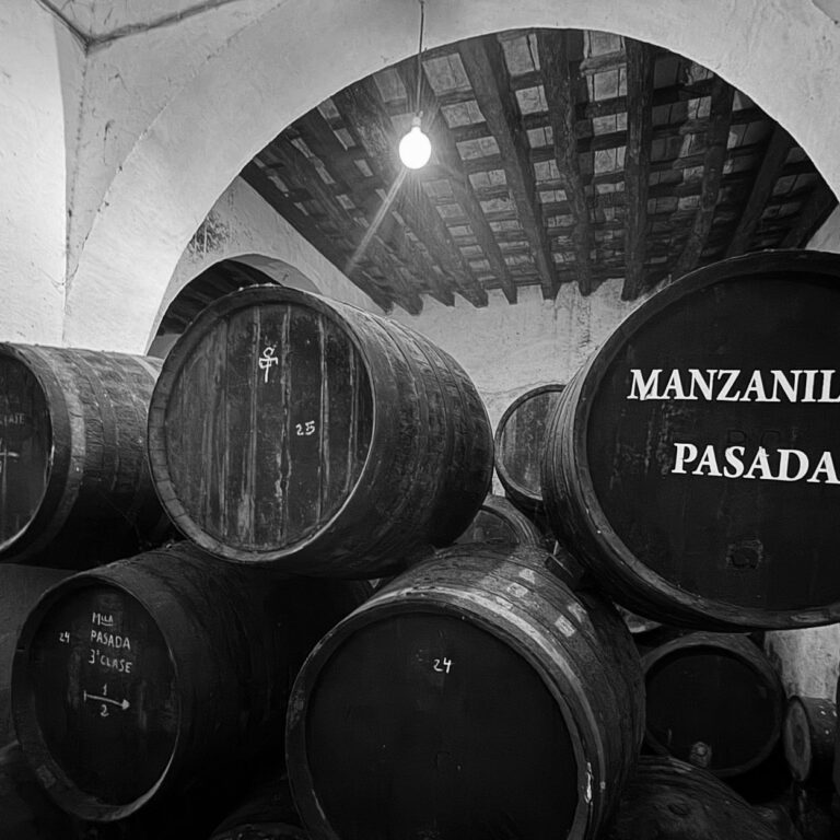 Manzanilla pasada blanco y negro