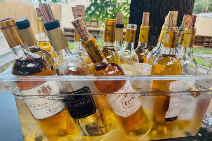 Sauternes Vinos de Sauternes y Barsac