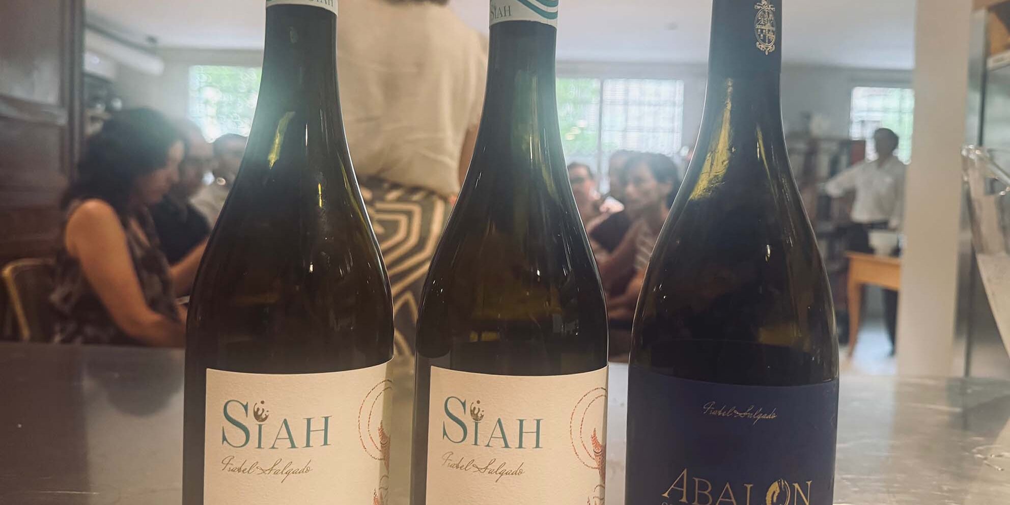 Vinos Isabel Salgado baja