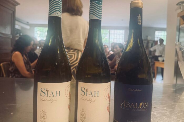 Vinos Isabel Salgado baja