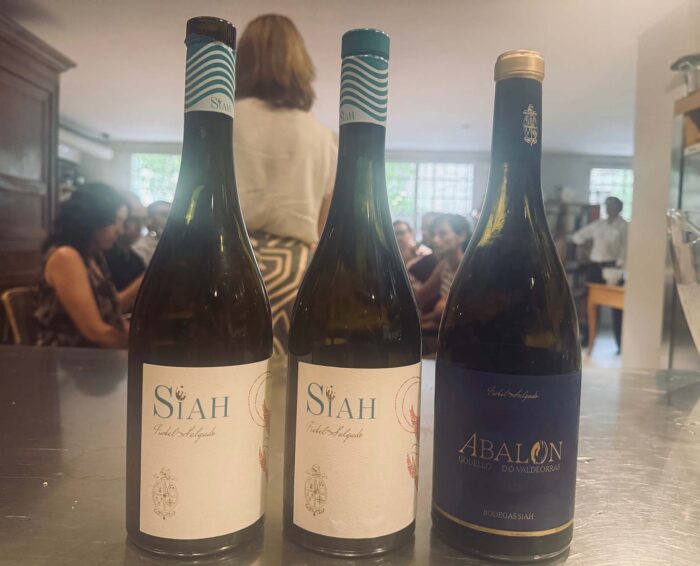 Vinos Isabel Salgado baja
