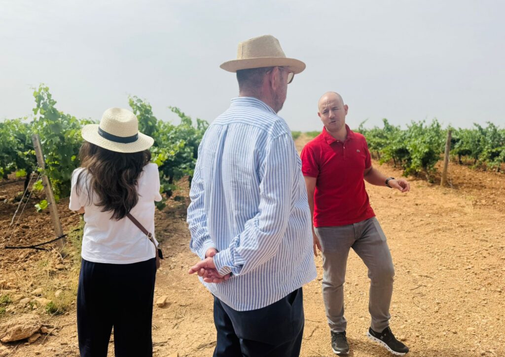 Hacienda Albae: paraíso monovarietal en Argamasilla de Alba