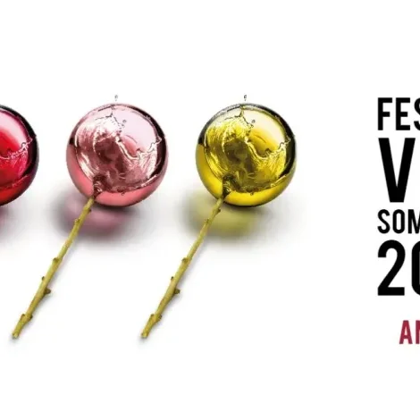 Festival_vino_somontano_2025-780×470