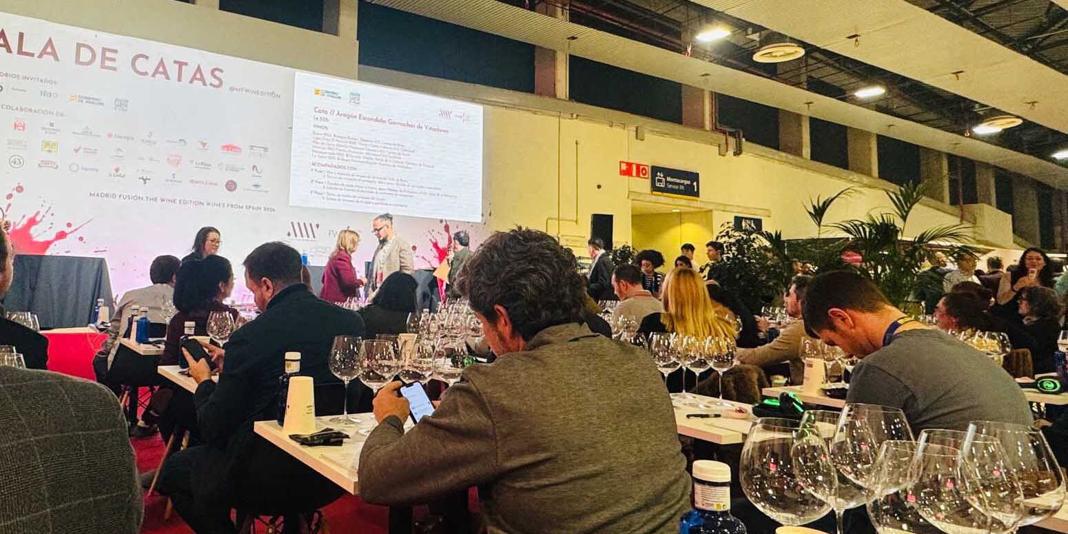 Cata garnachas principio copy Cata garnachas Aragón Madrid Fusión